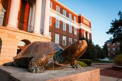 Testudo at sunrise in front of McKeldin library