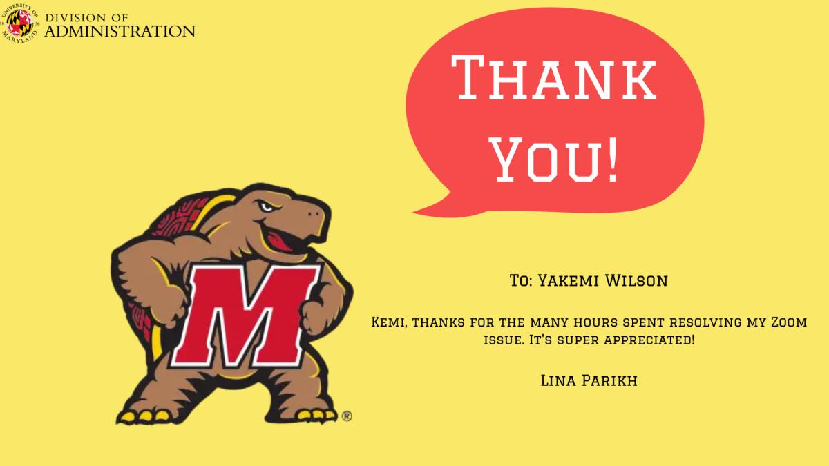 April 13 - Yellow Testudo