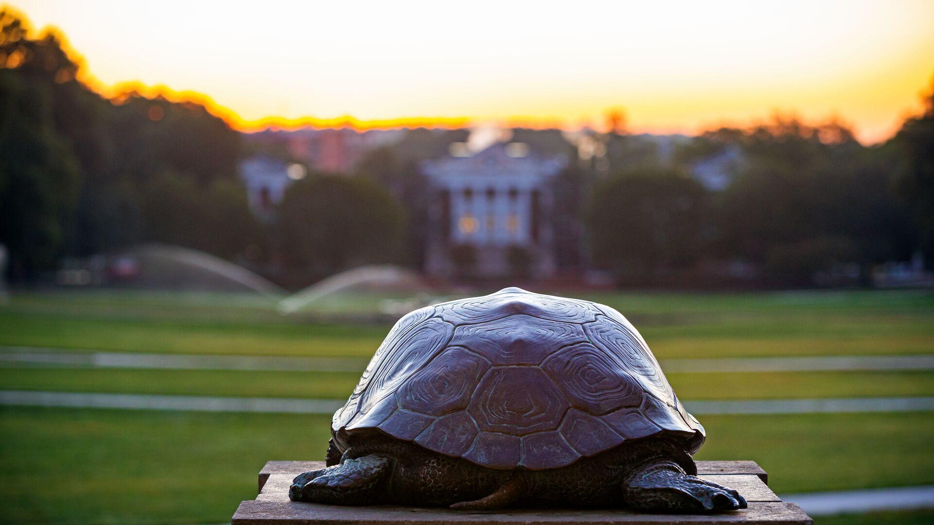 View of Mckeldin Mall from Testudo's point of view