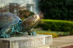 Testudo sculpture